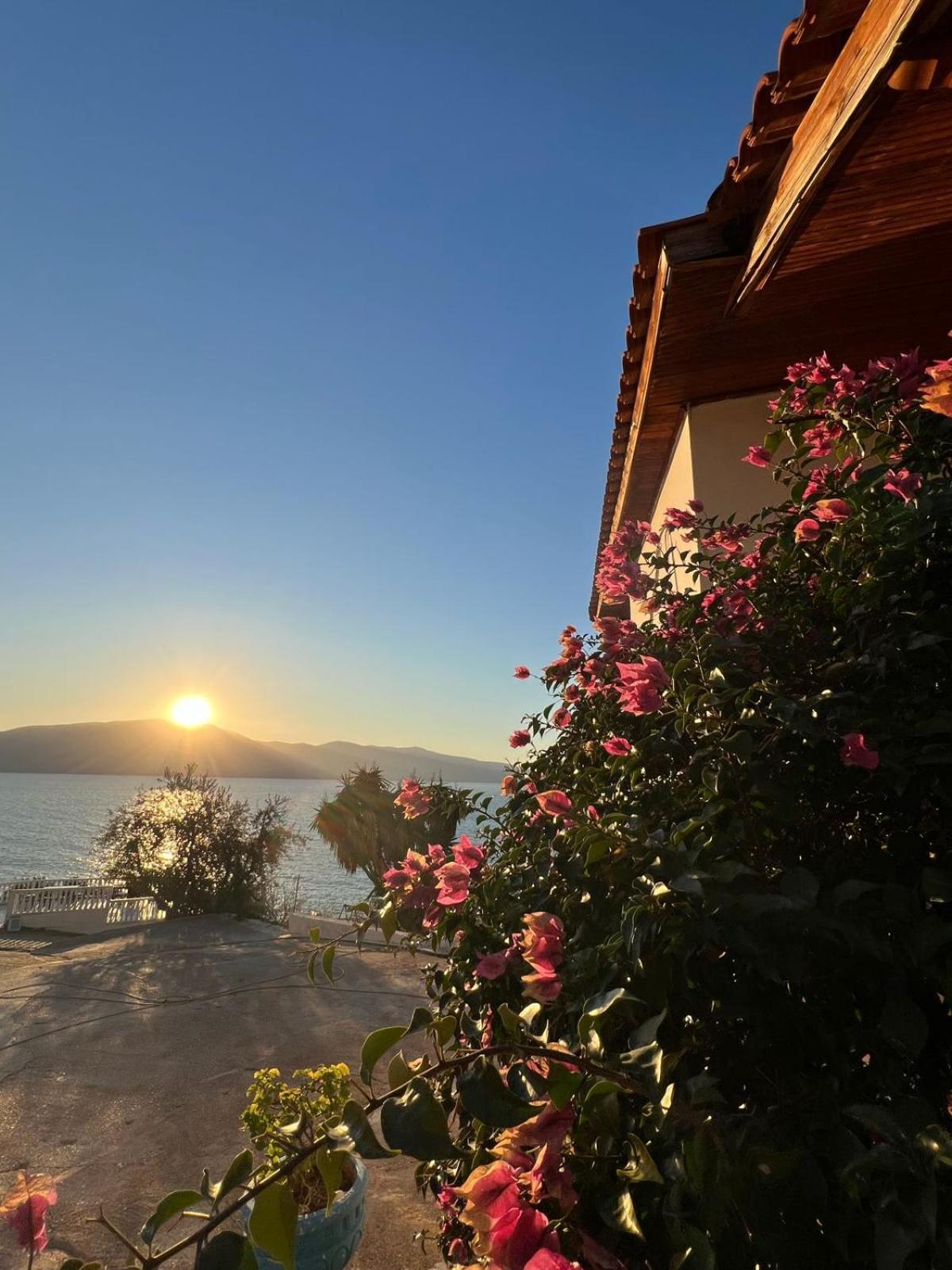 Blue Dream Holiday Hotel Vlore Ngoại thất bức ảnh